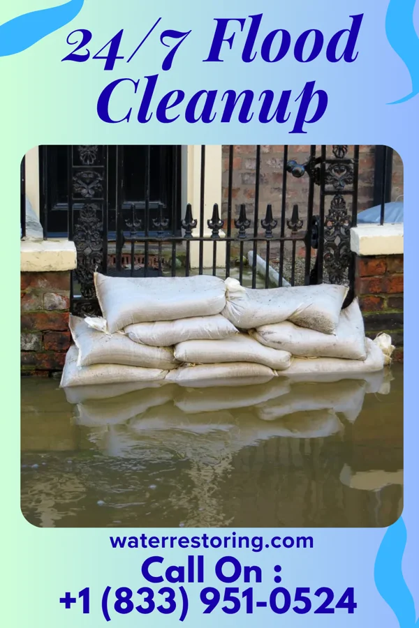24/7 Flood Cleanup in Lexington, TX