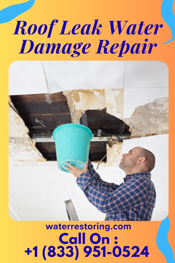 Roof Leak Water Damage Repair in Lexington, TX