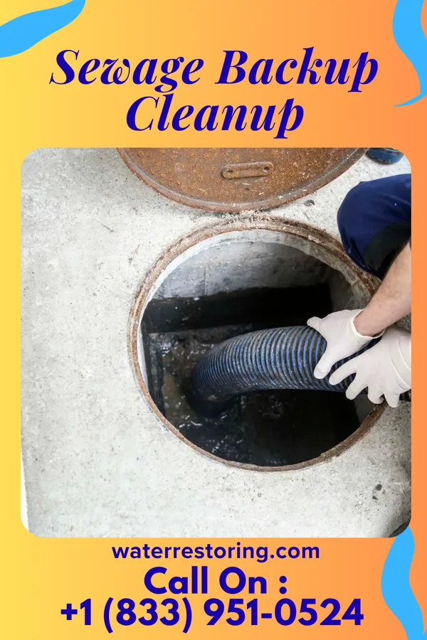 Sewage Backup Cleanup in Lexington, TX